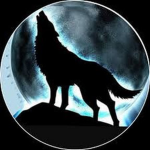 noahgaming dk fans