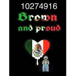 LA RASA DE MEXICO