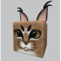 Floppas' have needs to