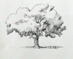 T&J Foundation