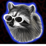 Raccoon Kingdom
