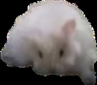 🐹 PELMENROOMS CLASSIC
