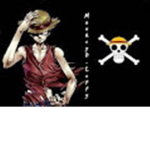 The One Piece Group1