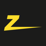 Zygote Develops
