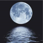 Moonlight Club for Fans