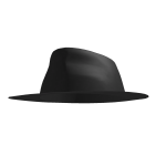 Timeless Fedora