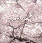 - willow's closet -