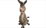 cow_buddiezz