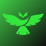 Hub-Blox ᴮʳ
