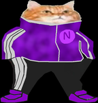 Tumble Rumble Studios