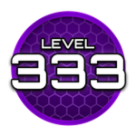 Level 333