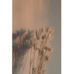 XxPinaplles_LoversxX