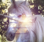‘unicorns