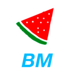 Blue Melon Studios