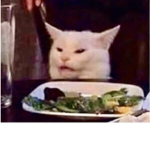 SaladNation