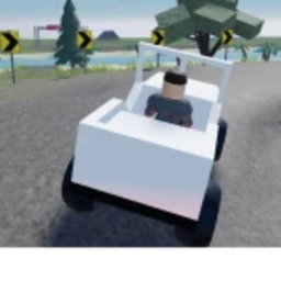 Race