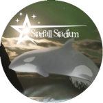 Starfall Stadium | Parks & Entertainment
