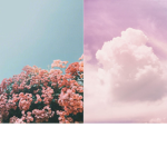 || Ven's aesthetic Studio's ||