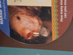 Mole rat1297