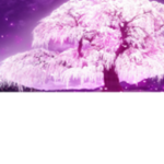 One Blossom Studios