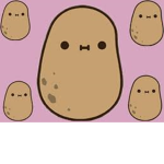 The sus potato’s