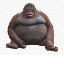 Monke Race Game
