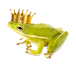 The one and only frog family