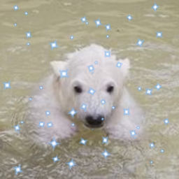 ✦