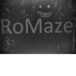 RoMaze