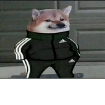 THE LIGGIT HOMIES