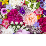 Delightful Flowers