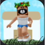 Hibiscus Café