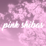Pink Shibas