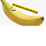 bannana to savanahh group