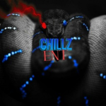 CHILLZ ENT