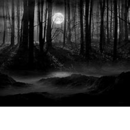 Alone... ..  ... .. . .
