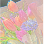 ᴇ x ǫ ᴜ ɪ s ɪ ᴛ ᴇ