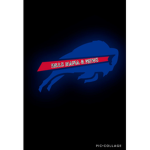 Bills Mafia and News