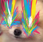 DPFF 갱