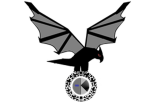 the elite  sturgian airforce