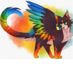 The Rainbow Followers