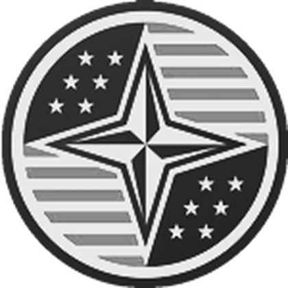 United States Armed Force [USA] Roblox group icon