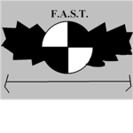 FIRST ASSAULT SPY TEAM