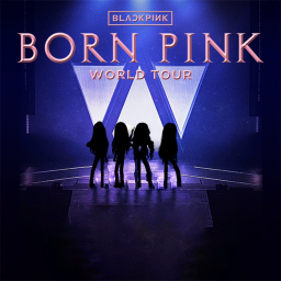 [GE] - BORN PINK TOUR - NEW GAME
