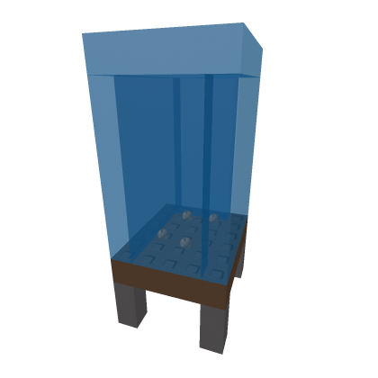 fish in fish tank