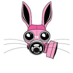 War bunny's