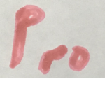 epic pro yes epic