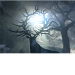 Curses are real