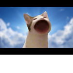 Cacabear
