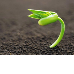 planting simulator (lower volume)